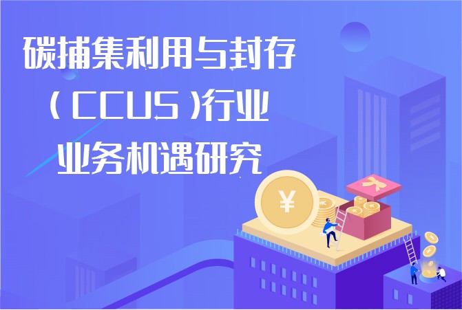 碳捕集利用与封存（CCUS）行业业务机遇研究