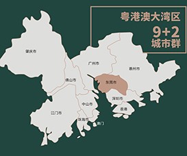 粤港澳大湾区简介